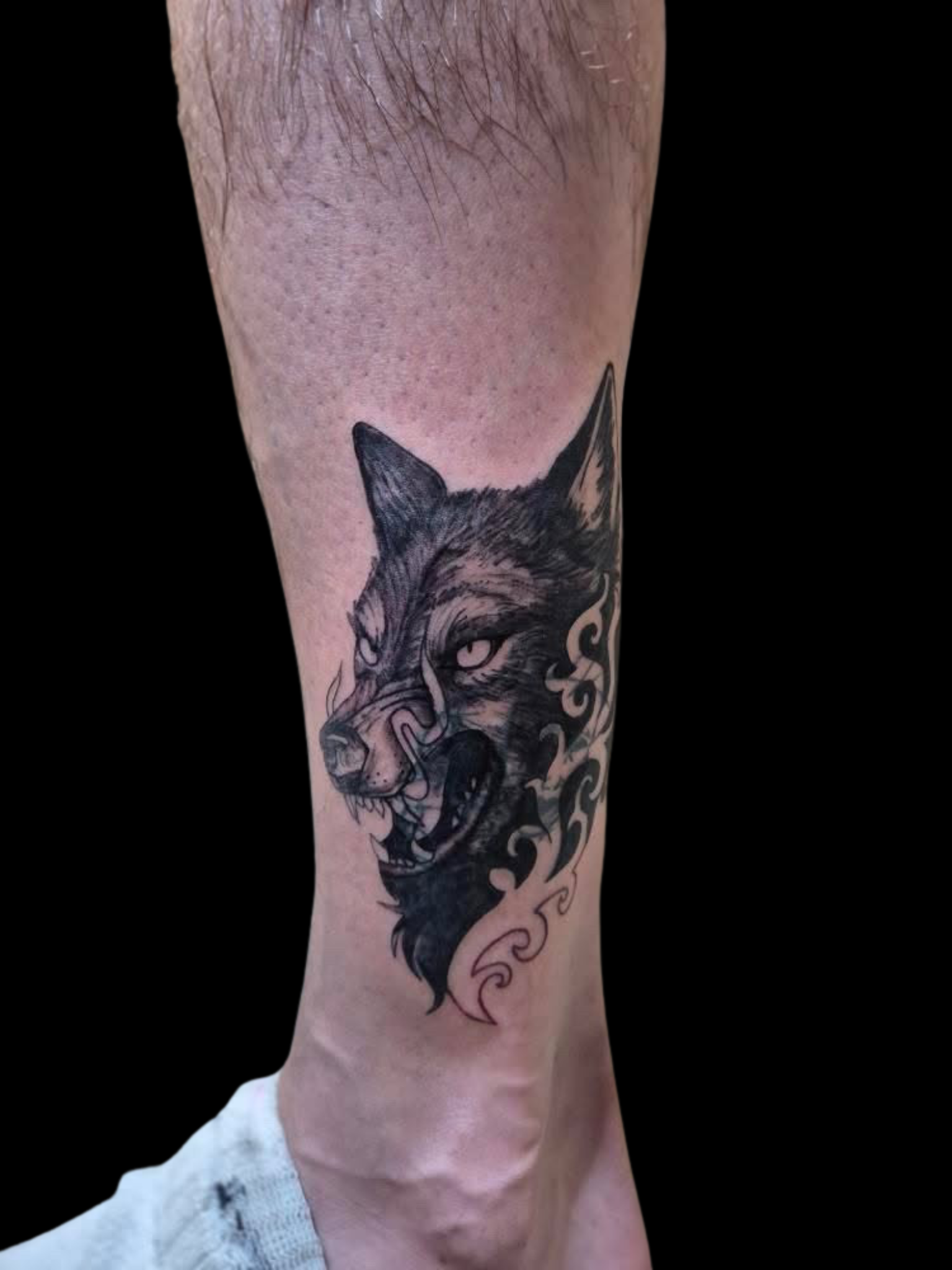 Tatouage loup en blackwork avec ornements sur le mollet — Akamoa Tattoo Moustiers-Sainte-Marie